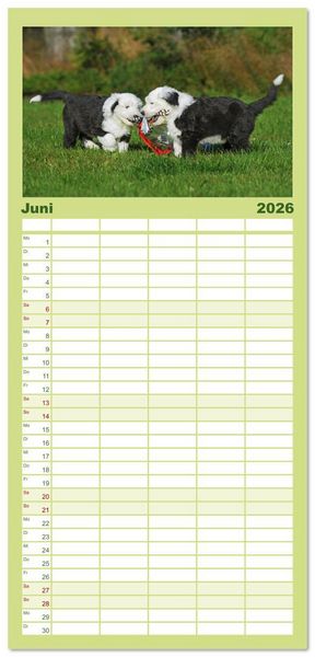 Produktbild: Familienplaner 2026 - In der Kinderstube bei Familie Bobtail mit 5 Spalten (Wandkalender, 21 x 45 cm) CALVENDO