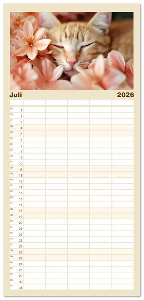 Produktbild: Familienplaner 2026 - Katzen - sanfte Sch&ouml;nheiten mit 5 Spalten (Wandkalender, 21 x 45 cm) CALVENDO