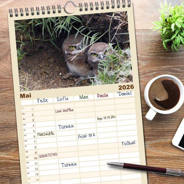 Produktbild: Familienplaner 2026 - Eulen. Gefiederte Weisheit mit 5 Spalten (Wandkalender, 21 x 45 cm) CALVENDO