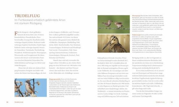 Produktbild: Unsere einzigartige Vogelwelt
