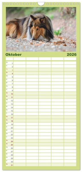 Produktbild: Familienplaner 2026 - Collies - charmante Herzensbrecher mit 5 Spalten (Wandkalender, 21 x 45 cm) CALVENDO
