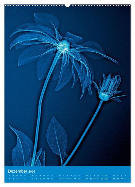Produktbild: Durchleuchtete Blumenwelt 2026 (hochwertiger Premium Wandkalender 2026 DIN A2 hoch), Kunstdruck in Hochglanz