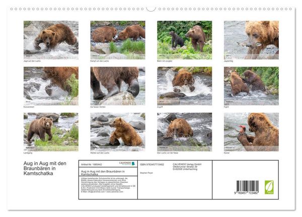 Produktbild: Aug in Aug mit den Braunb&auml;ren in Kamtschatka (hochwertiger Premium Wandkalender 2026 DIN A2 quer), Kunstdruck in Hochglanz