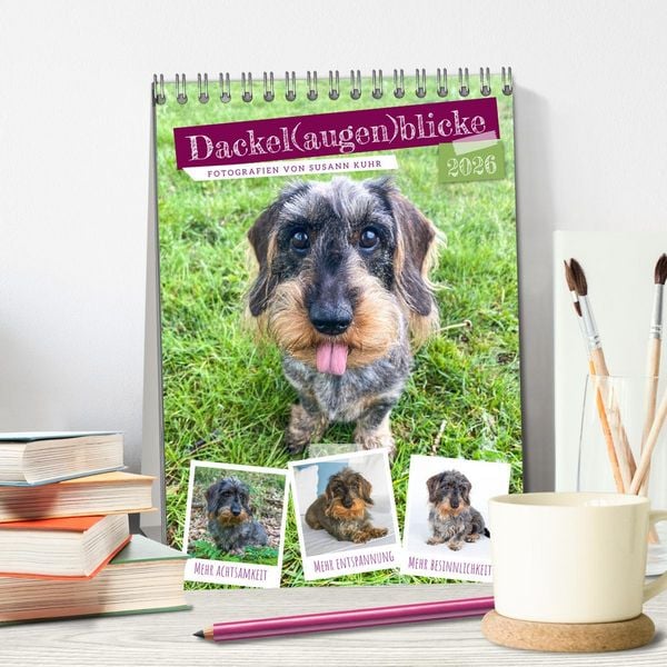 Produktbild: Dackel(augen)blicke (Tischkalender 2026 DIN A5 hoch), CALVENDO Monatskalender