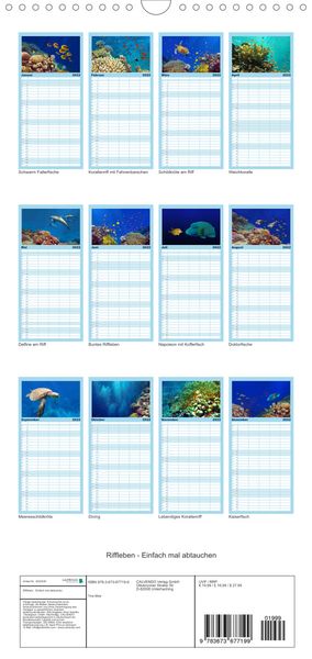 Produktbild: Riffleben - Einfach mal abtauchen - Familienplaner hoch (Wandkalender 2022 , 21 cm x 45 cm, hoch)