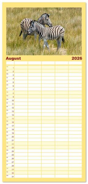 Produktbild: Familienplaner 2026 - Zebras in Afrika mit 5 Spalten (Wandkalender, 21 x 45 cm) CALVENDO