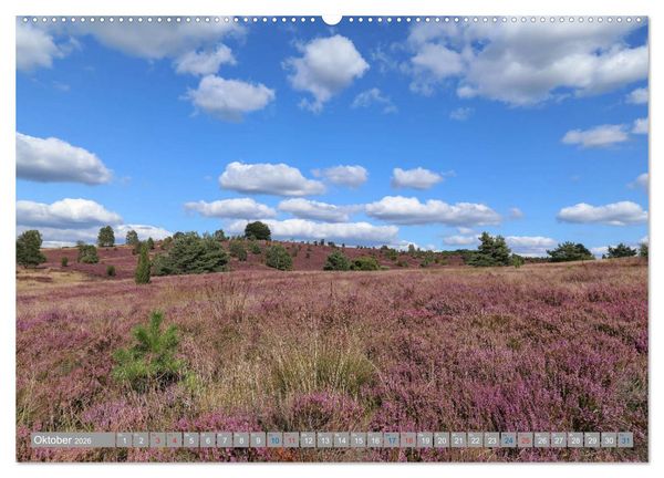 Produktbild: L&uuml;neburger Heide - Faszinierend sch&ouml;n (hochwertiger Premium Wandkalender 2026 DIN A2 quer), Kunstdruck in Hochglanz