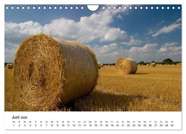 Produktbild: Stimmungsvoller Niederrhein (Wandkalender 2026 DIN A4 quer), CALVENDO Monatskalender