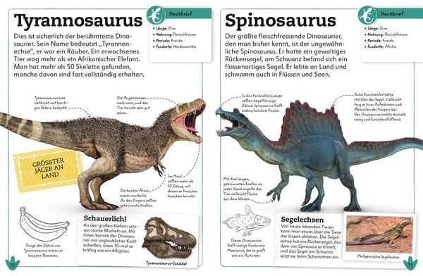 Produktbild: Dinosaurier