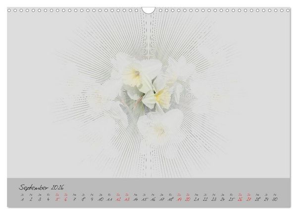 Produktbild: Bl&uuml;ten FineArt (Wandkalender 2026 DIN A3 quer), CALVENDO Monatskalender