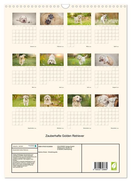 Produktbild: Zauberhafte Golden Retriever (Wandkalender 2026 DIN A3 hoch), CALVENDO Monatskalender