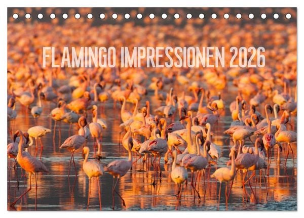 Flamingo Impressionen 2026 (Tischkalender 2026 DIN A5 quer), CALVENDO Monatskalender