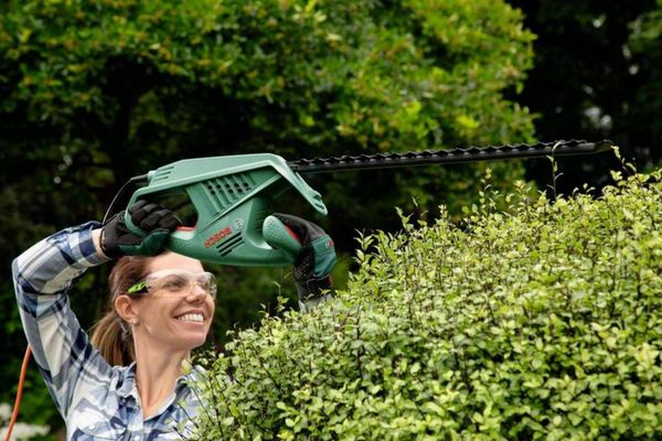 Produktbild: Bosch Home and Garden EasyHedgeCut 55-16 Elektro Heckenschere 450 W