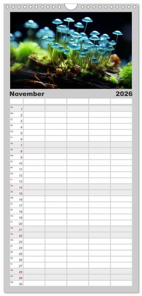 Produktbild: Familienplaner 2026 - Wunderwelt Mikrokosmos mit 5 Spalten (Wandkalender, 21 x 45 cm) CALVENDO