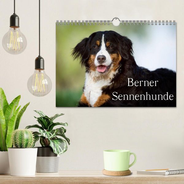 Produktbild: Berner Sennenhunde (Wandkalender 2026 DIN A4 quer), CALVENDO Monatskalender