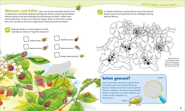 Produktbild: WAS IST WAS Junior Mitmach-Heft. Insekten
