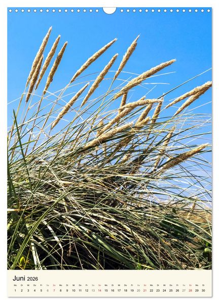 Produktbild: LANGEOOG Strandspaziergang (Wandkalender 2026 DIN A3 hoch), CALVENDO Monatskalender