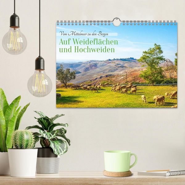 Produktbild: Auf Weidefl&auml;chen und Hochweiden (Wandkalender 2026 DIN A4 quer), CALVENDO Monatskalender