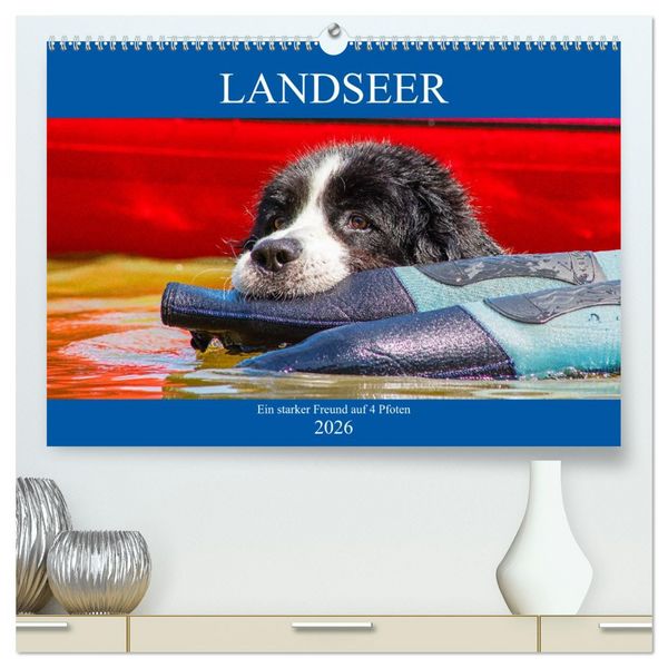 Produktbild: Landseer - Ein starker Freund auf 4 Pfoten (hochwertiger Premium Wandkalender 2026 DIN A2 quer), Kunstdruck in Hochglanz