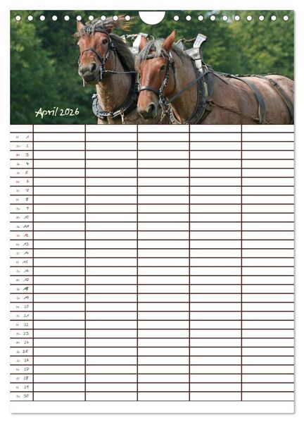 Produktbild: Der Kaltblut-Familienplaner (Wandkalender 2026 DIN A4 hoch), CALVENDO Monatskalender