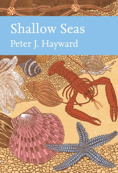 Produktbild: Shallow Seas