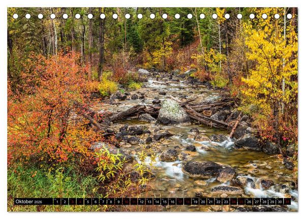 Produktbild: Waldwasser (Tischkalender 2026 DIN A5 quer), CALVENDO Monatskalender