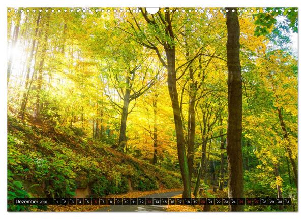 Produktbild: M&uuml;hltal Eisenberg (Wandkalender 2026 DIN A3 quer), CALVENDO Monatskalender