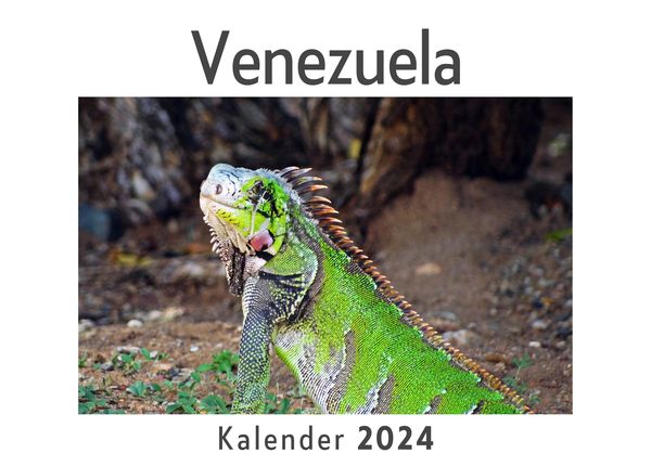 Produktbild: Venezuela (Wandkalender 2024, Kalender DIN A4 quer, Monatskalender im Querformat mit Kalendarium, Das perfekte Geschenk)