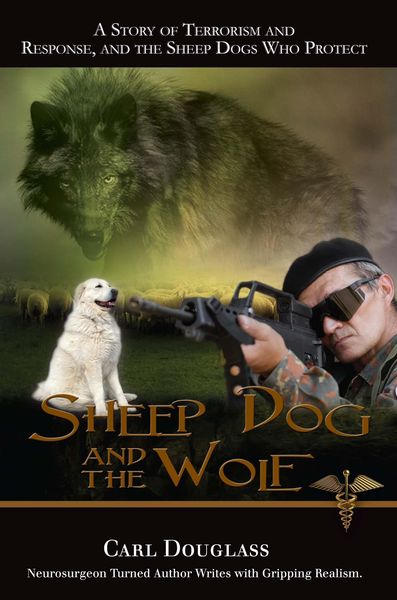 Produktbild: Sheep Dog and the Wolf
