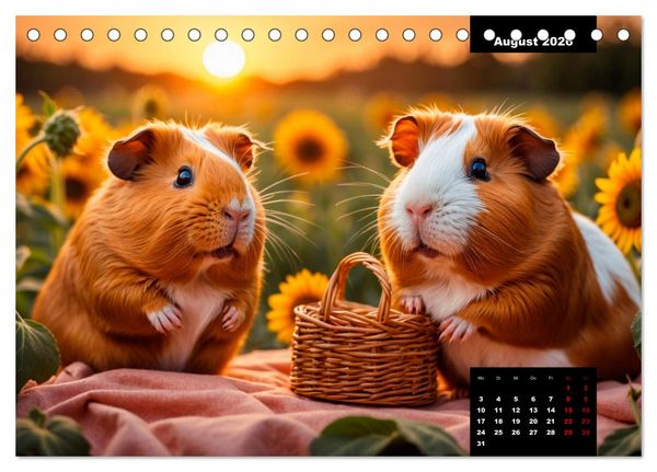 Produktbild: Meerschweinchen mal anders! (Tischkalender 2026 DIN A5 quer), CALVENDO Monatskalender