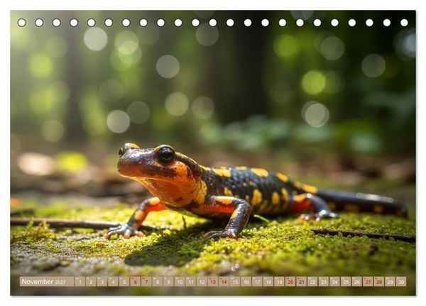 Produktbild: Gruseltiere (Tischkalender 2027 DIN A5 quer), CALVENDO Monatskalender
