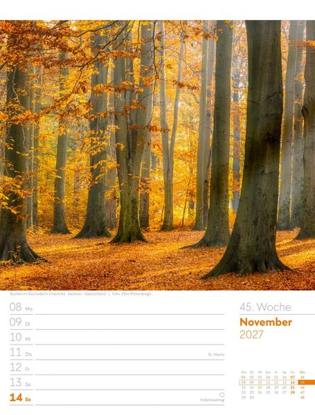 Produktbild: Unser Wald Wochenplaner Kalender 2027