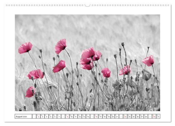 Produktbild: Natur schwarz - wei&szlig; Malerei (Wandkalender 2026 DIN A2 quer), CALVENDO Monatskalender