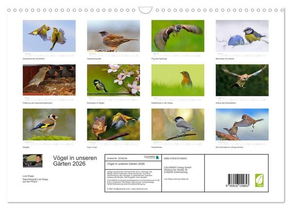 Produktbild: V&ouml;gel in unseren G&auml;rten 2026 (Wandkalender 2026 DIN A3 quer), CALVENDO Monatskalender