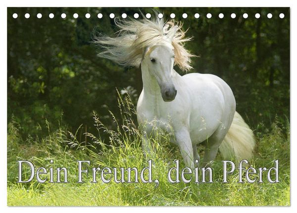 Produktbild: Dein Freund, dein Pferd (Tischkalender 2026 DIN A5 quer), CALVENDO Monatskalender