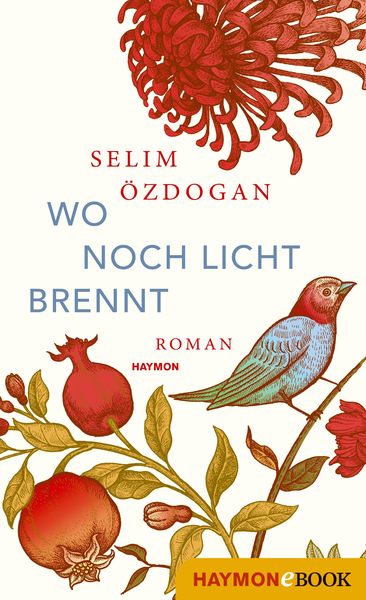 Produktbild: Wo noch Licht brennt