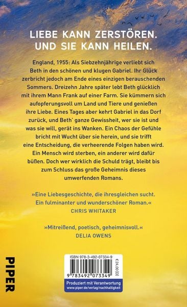 Wie Risse in der Erde
