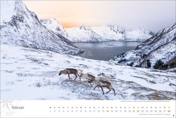 Produktbild: Hurtigruten Globetrotter Kalender 2027 - Von unber&uuml;hrten Fjorden und stillen Bergen