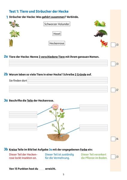 Produktbild: &Uuml;bungsheft mit Tests im Sachunterricht 2. Klasse