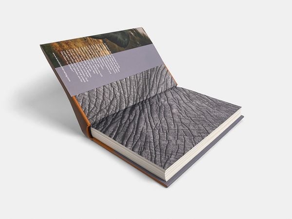 Produktbild: Elefanten