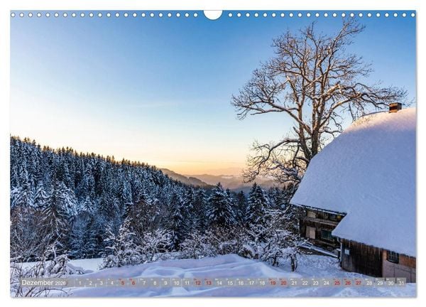Produktbild: Ein Jahr im Schwarzwald (Wandkalender 2026 DIN A3 quer), CALVENDO Monatskalender