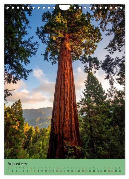 Produktbild: Sequoia Giganten (Wandkalender 2027 DIN A4 hoch), CALVENDO Monatskalender