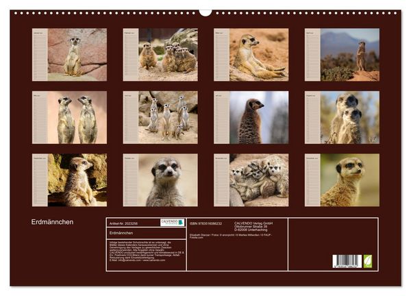 Produktbild: Erdm&auml;nnchen (Wandkalender 2026 DIN A2 quer), CALVENDO Monatskalender