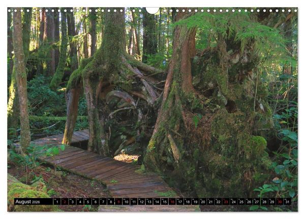 Produktbild: Vancouver - Vancouver Island - Seattle (Wandkalender 2026 DIN A3 quer), CALVENDO Monatskalender