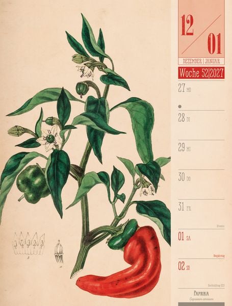 Produktbild: Culinarium Wochenplaner Kalender 2027 | K&uuml;che, Kr&auml;uter, Kurioses
