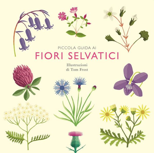 Produktbild: Piccola guida ai fiori selvatici