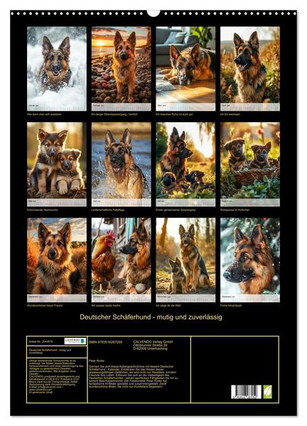 Produktbild: Deutscher Sch&auml;ferhund - mutig und zuverl&auml;ssig (Wandkalender 2026 DIN A2 hoch), CALVENDO Monatskalender