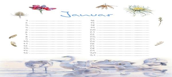 Produktbild: Geburtstagskalender