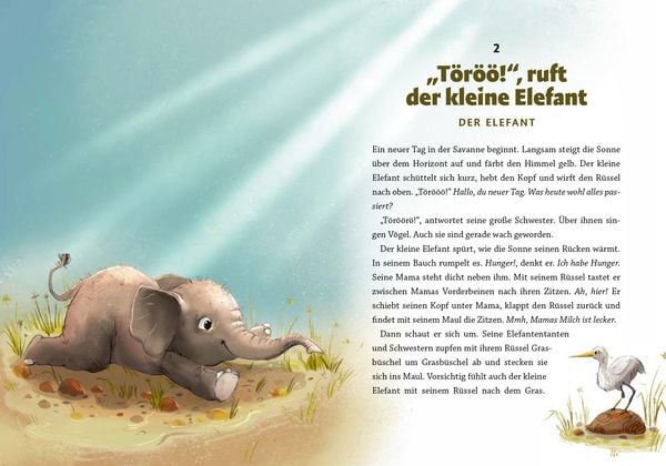 Produktbild: Gute Nacht, kleiner Koala &ndash; 20 tierische Einschlafgeschichten