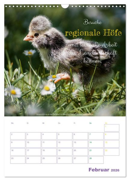 Produktbild: Tierische Challenges: F&uuml;r mehr Bewusstsein und mehr Tierschutz (Wandkalender 2026 DIN A3 hoch), CALVENDO Monatskalender